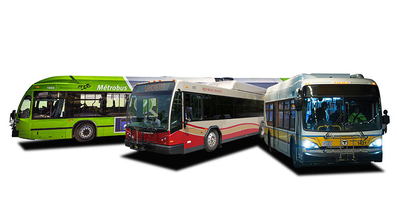 Transit solutions buses